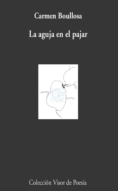 La aguja en el pajar