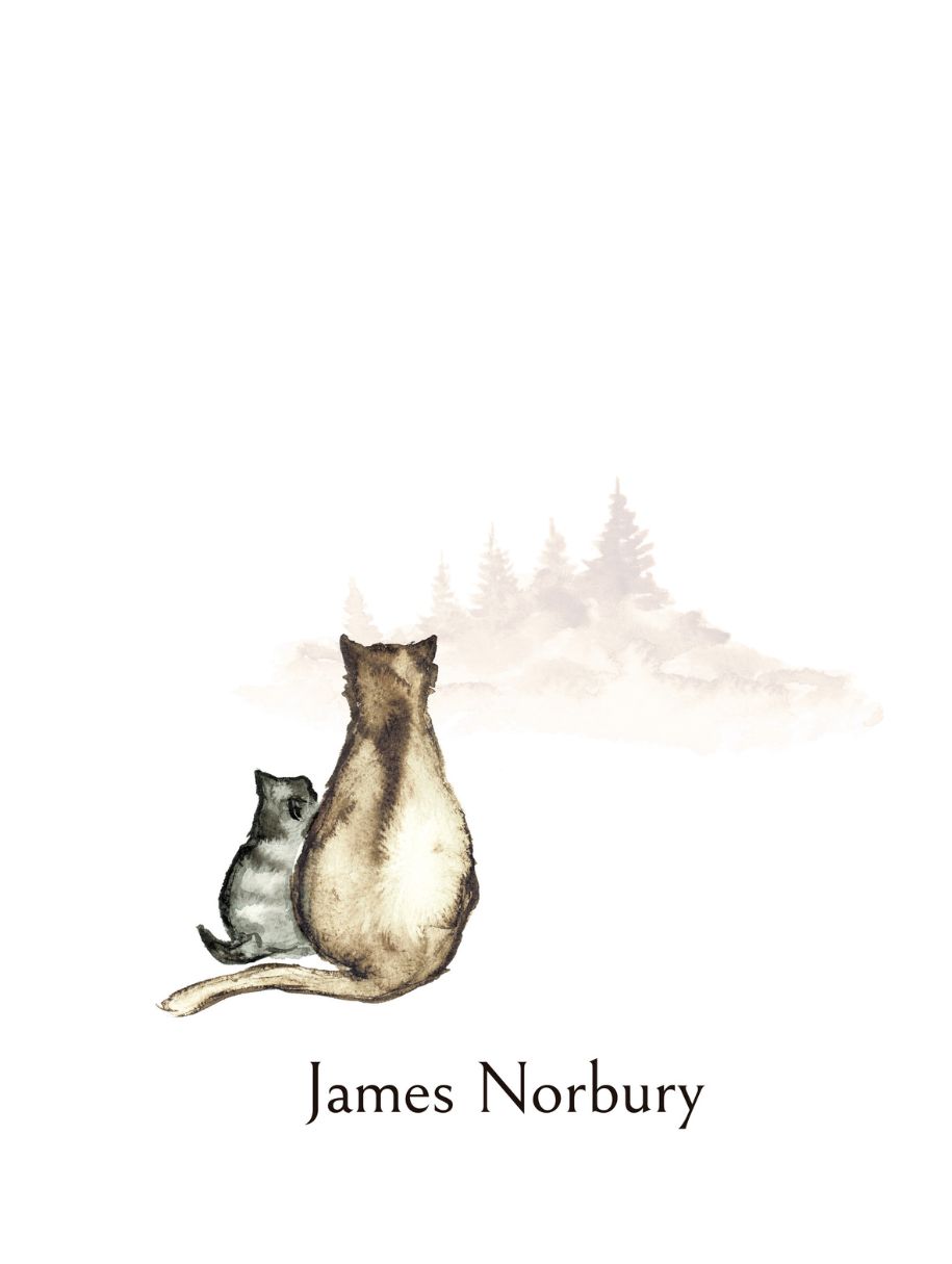 El gato que enseña el zen