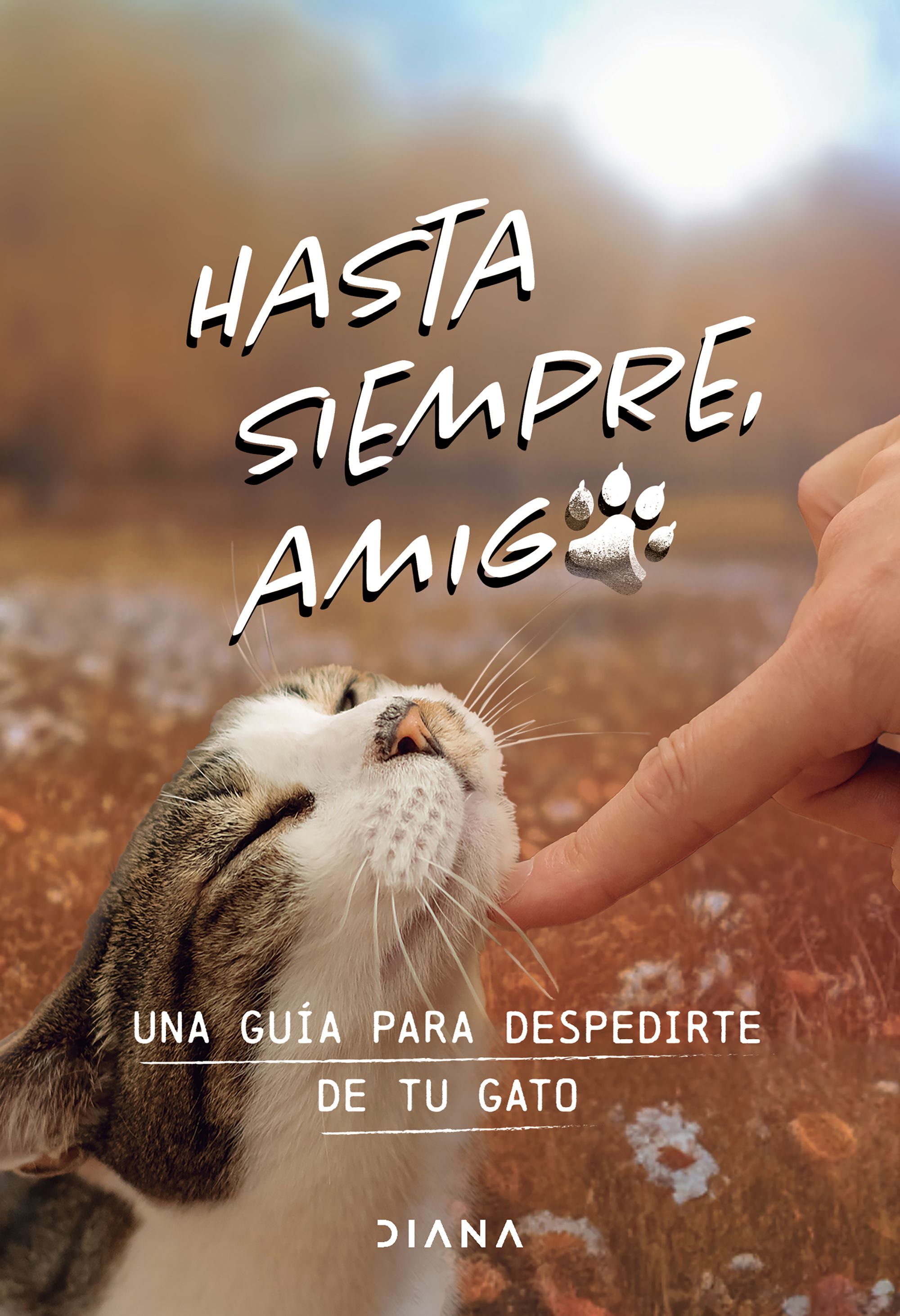 Hasta siempre, amigo gato