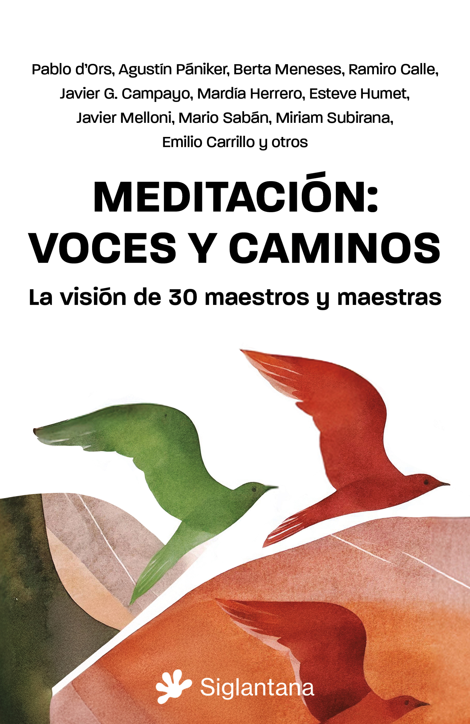 Meditación: voces y caminos